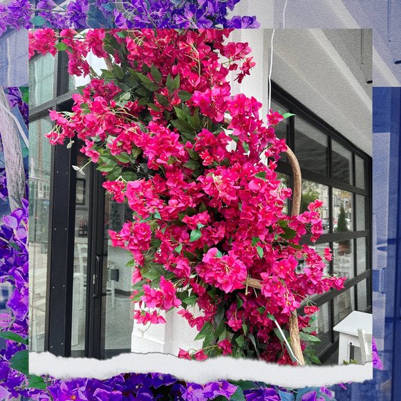 Meet your Posher, Dustin - Picture 14 of 16